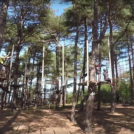 Quartier Hohe Geest 7 Apartament *